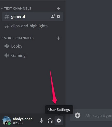 user settings option on discord