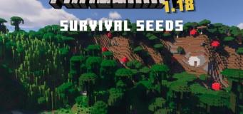 Minecraft 1.18 Survival Seeds