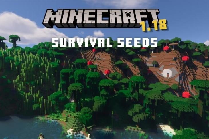 Minecraft 1.18 Survival Seeds