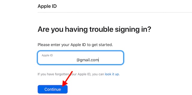 Reset Apple ID password using iforgot password website