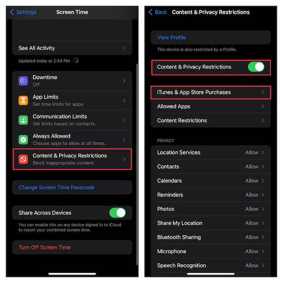 Restrict iTunes & App Store Purchases on iPhone 