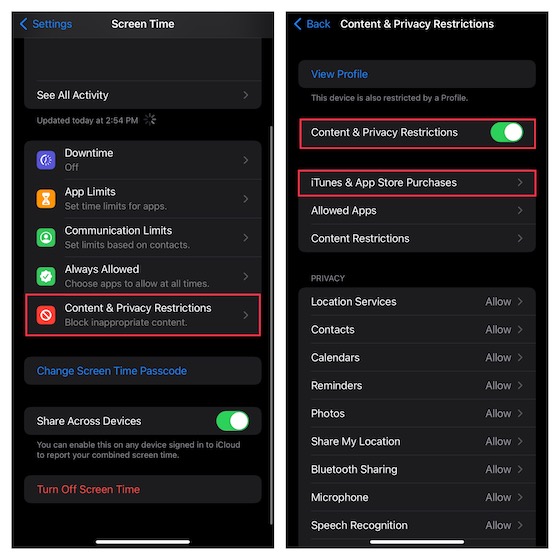 Restrict iTunes & App Store Purchases on iPhone