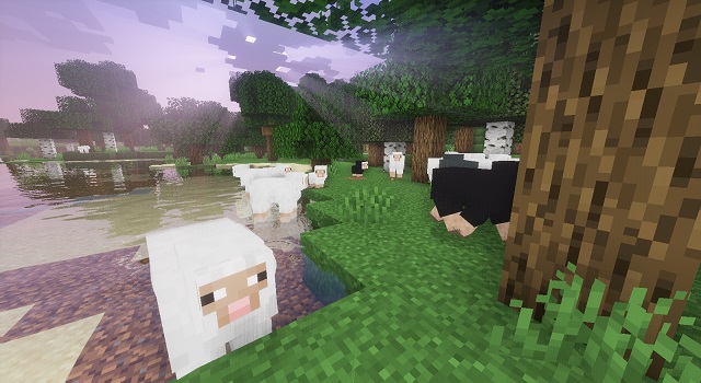 Sheep in Minecraft