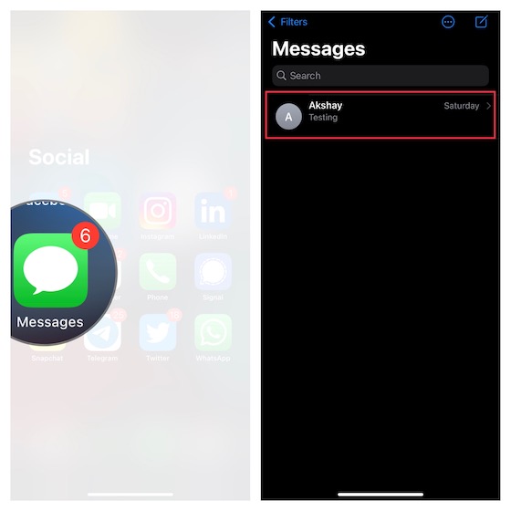 Конкретная ветка беседы iMessage на iOS