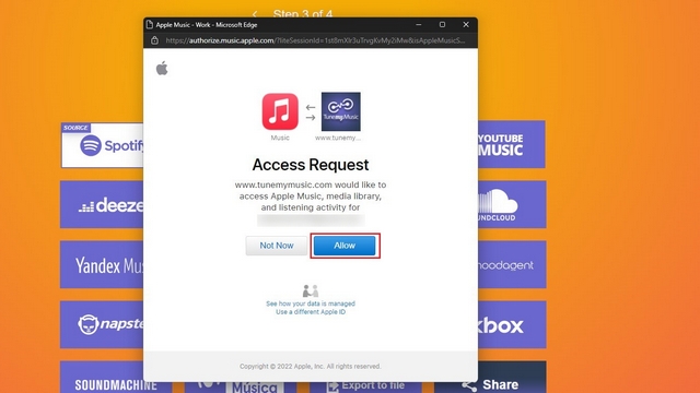 allow access request