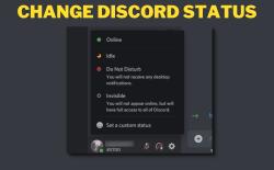 how to change discord status