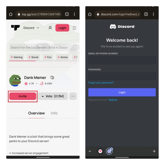 invite bot and login to discord