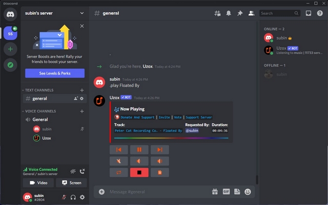 Discord bots playing music in voice chat