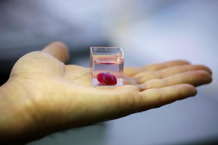 worlds first 3d printed heart developed