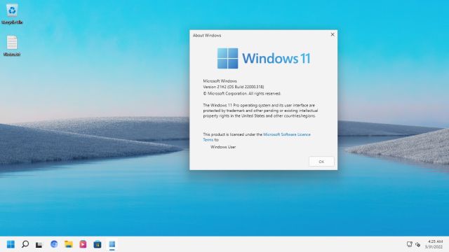 Install Rectify11 on Your PC