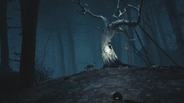 blair witch vr