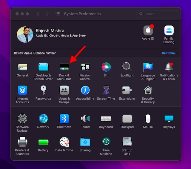 Click the Dock and Menubar preference on macOS