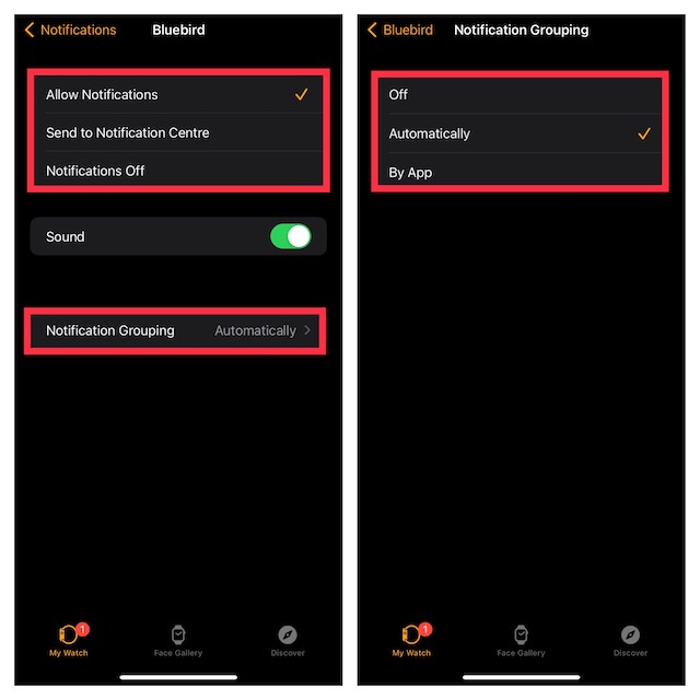 Customize notifications on Apple Watch