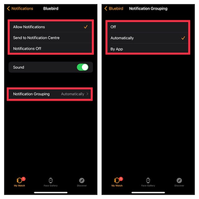 Apple watch mirror online notifications