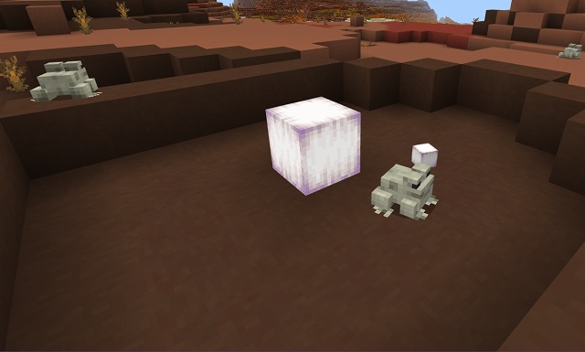 Minecraft青蛙提示和技巧指南:你需要知道的一切