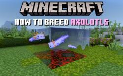 How to Breed Axolotls in Minecraft to Get Rare Variants
