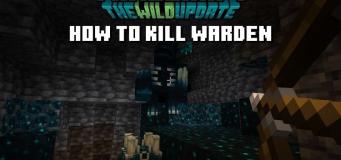 How to Defeat Warden in Minecraft 1.19