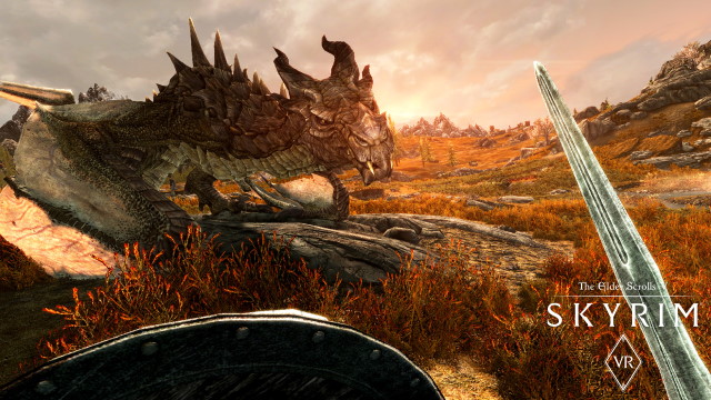 Skyrim VR game