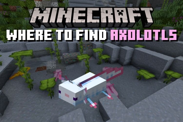 Onde encontrar axolotls no minecraft