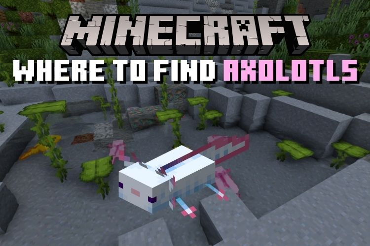 Where to Find Axolotls in Minecraft