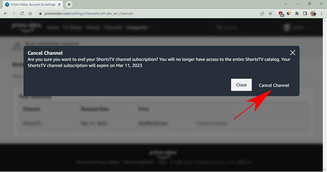 How to cancel amazon channel online subscription