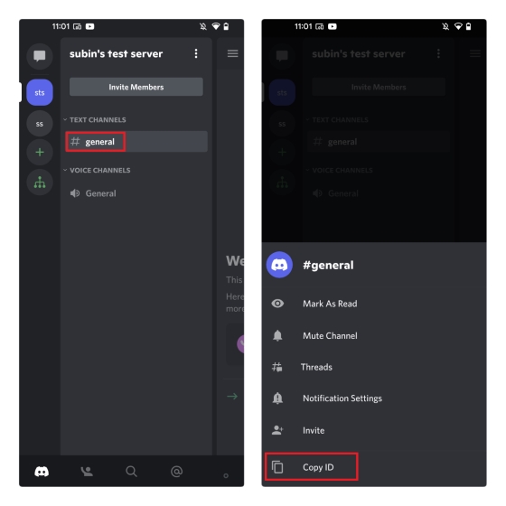 How to enable Developer Mode & Copy an ID