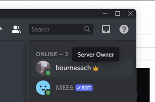 How To Stream Netflix On Discord In 2023| (Black Screen Fix)