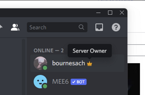 Discord Crown - Serverbesitzer