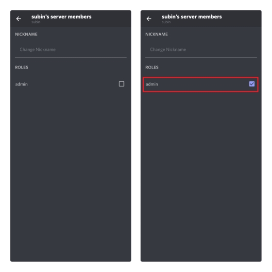 set admin permissions to remove crown on Discord