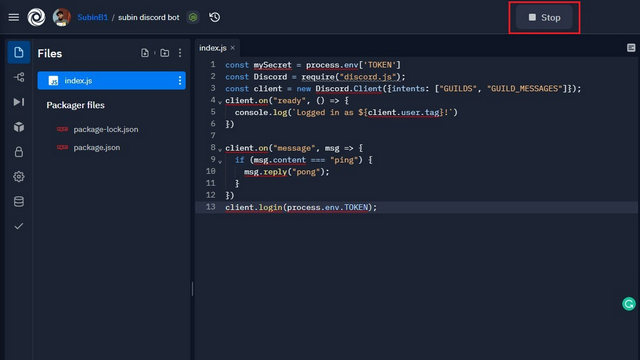 Getting Into Discord Developer Mode - Replit