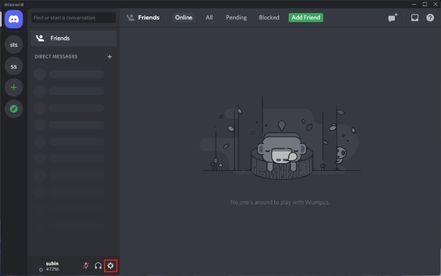 Developer Mode, Discord