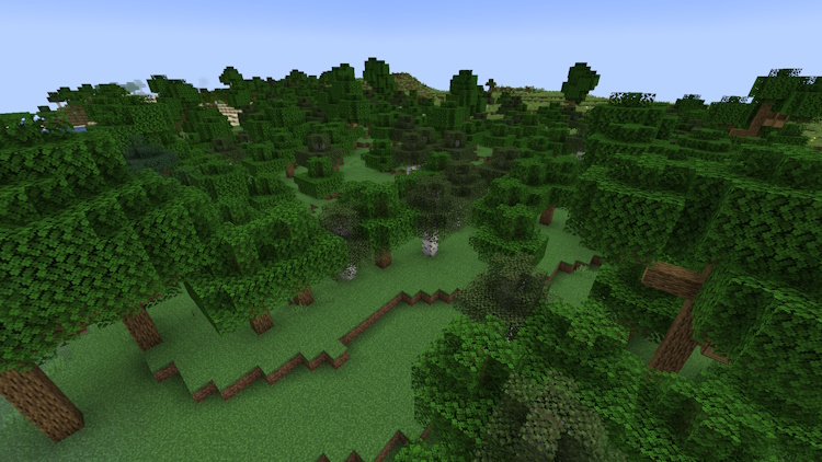 Forest biome in Minecraft
