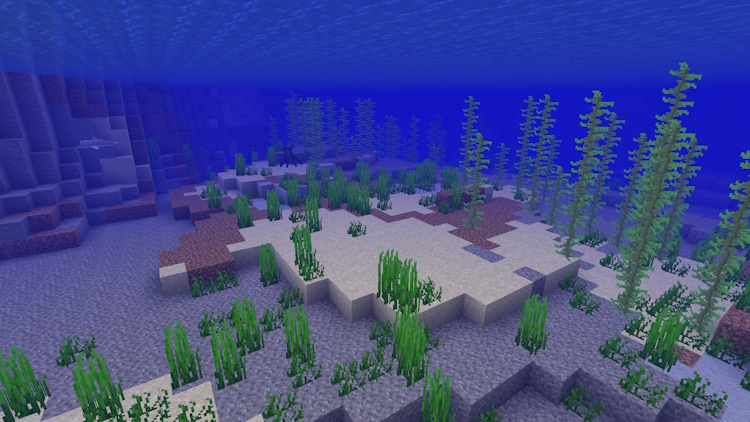 Ocean biome