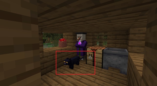 Cat inside Witch Swamp Hut in Minecraft