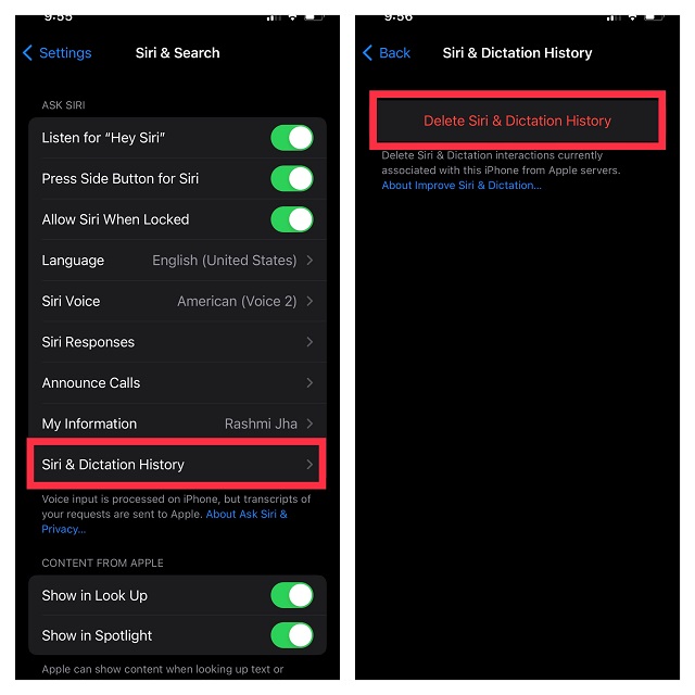 Delete Siri & Dictation History
