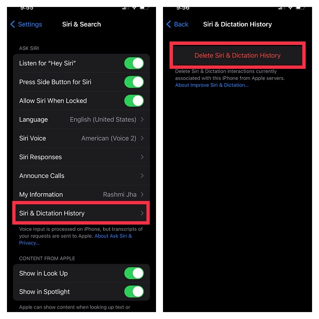 Delete Siri & Dictation History 