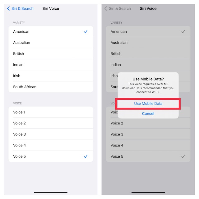 Get gender neutral Siri Voice on iPhone and iPad 