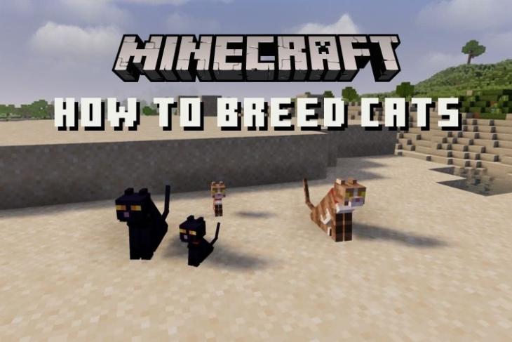 how-to-breed-cats-in-minecraft-2022-beebom