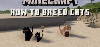 How to Breed Cats in Minecraft in 2022