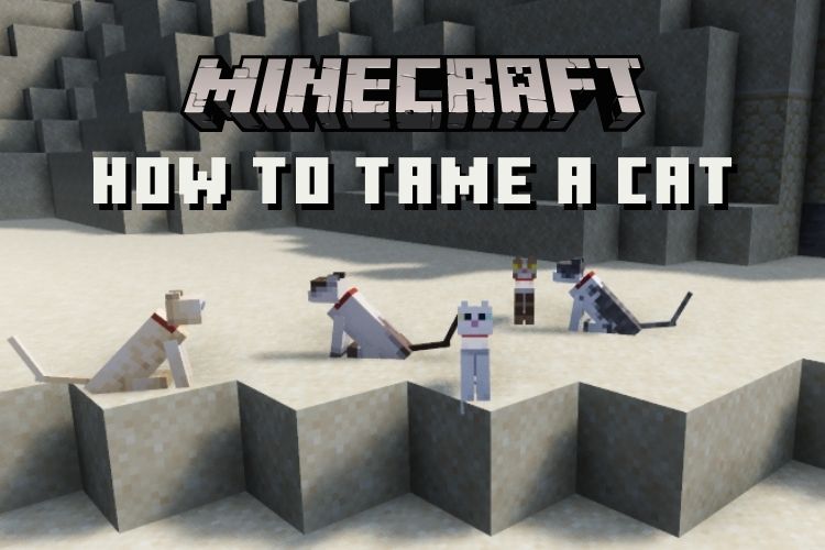 how-to-tame-a-cat-in-minecraft-bedrock-and-java-edition-2022-beebom