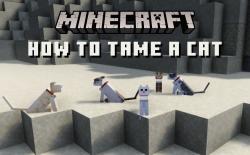 How to Tame a Cat in Minecraft Bedrock and Java Edition