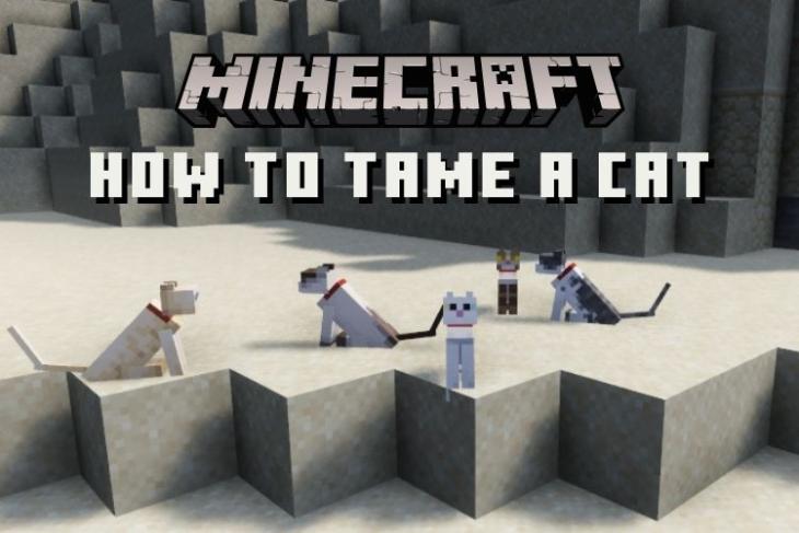 How to Tame a Cat in Minecraft Bedrock and Java Edition