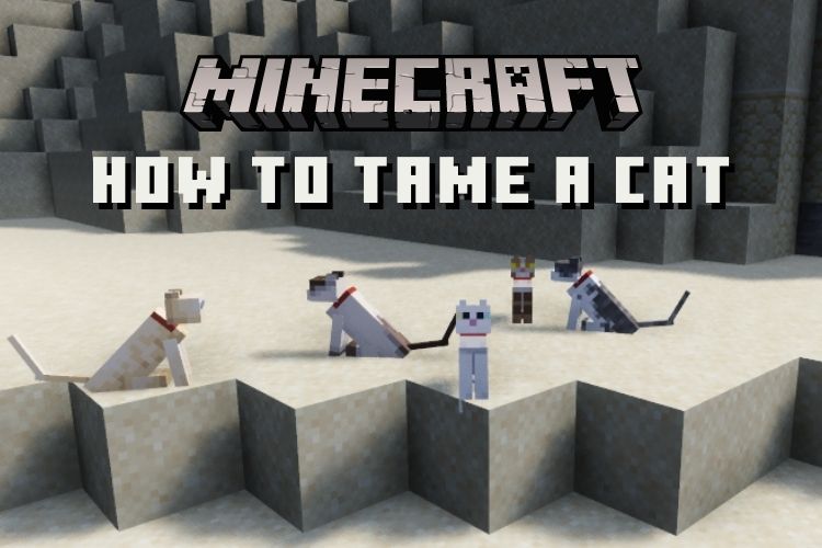 How to Tame a Cat in Minecraft Bedrock and Java Edition (2022) | Beebom