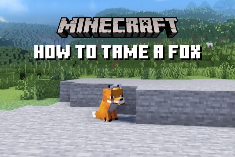 Hogyan lehet megszelídíteni egy róka a Minecraft java -ban és az alapkőzetben