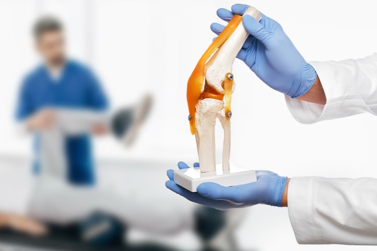 IIT Kanpur Professors Develop a Bone-Regeneration Technology to Treat Joint Disorders