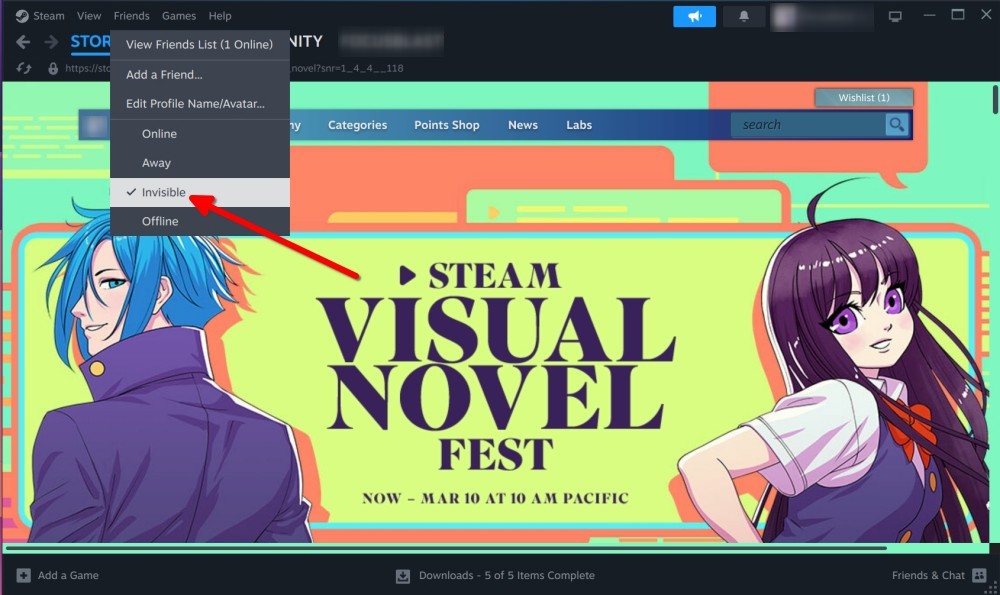 Steam Friends Dropdown menu with Invisible option