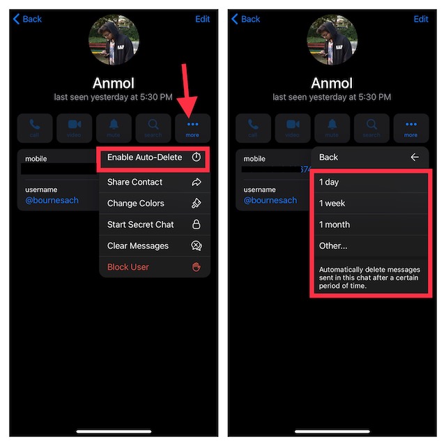 Set Auto-Delete Timer for a Telegram Chat 