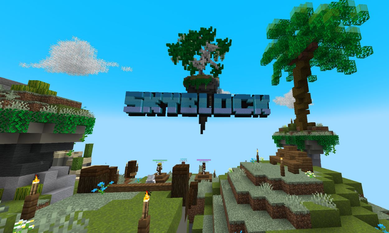 Skyblock best Minecraft Server