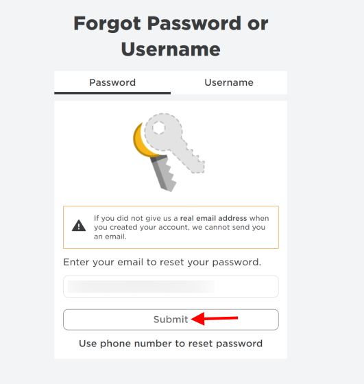 enter your recovery email or phone number to reset password