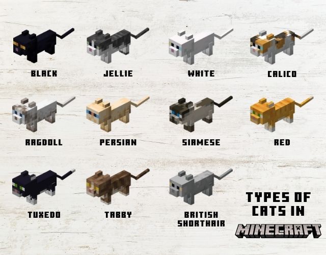 Types of Cats in Minecraft